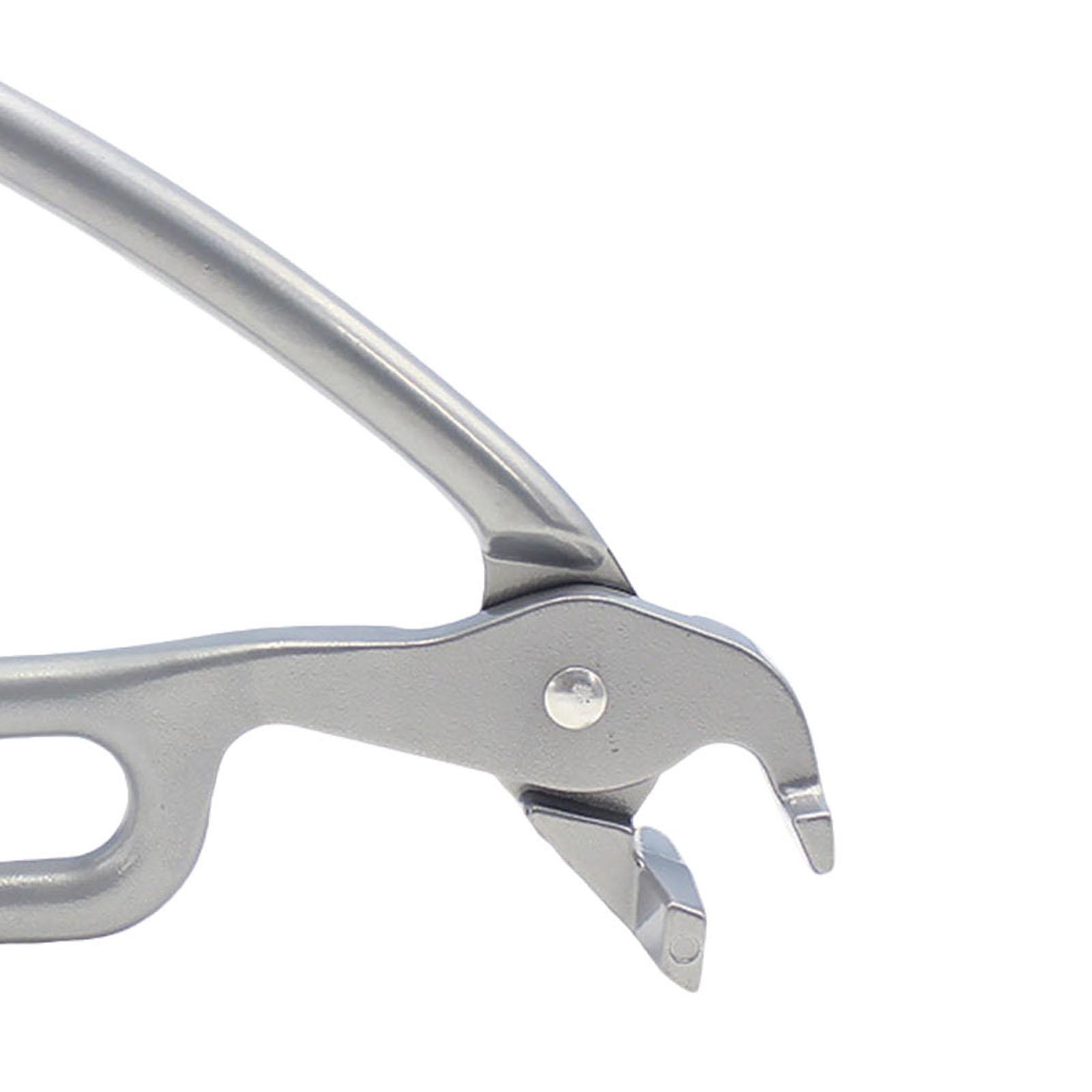 2xPizza Pan Gripper Heavy Duty - Camping Cooking Hot Plate ulasan dan harga