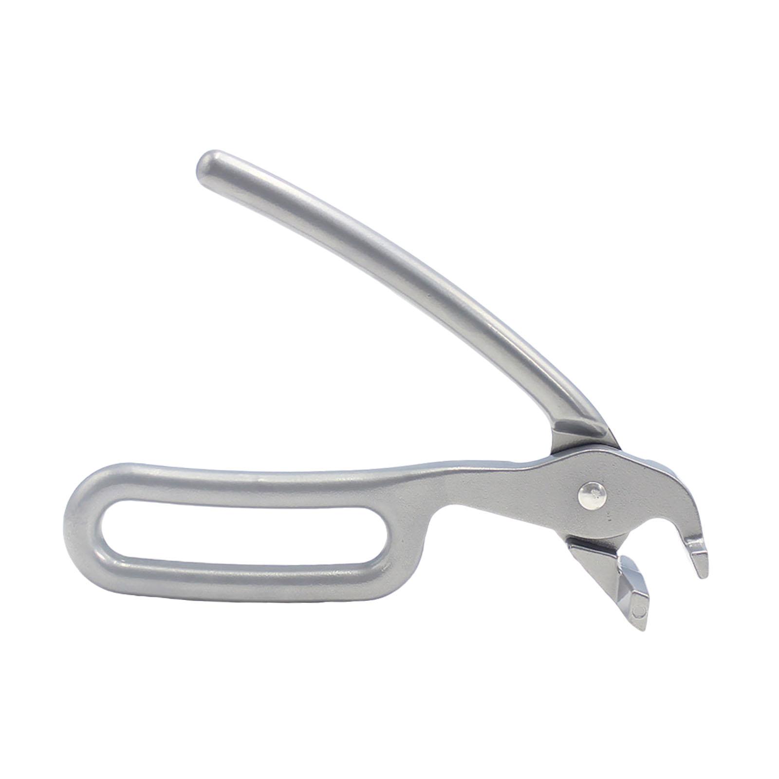 2xPizza Pan Gripper Heavy Duty - Camping Cooking Hot Plate ulasan dan harga